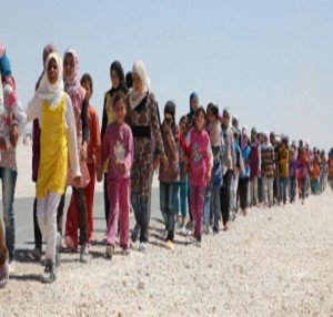 refugee-1611-300x169_16153